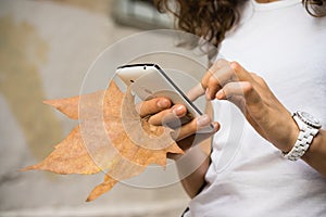 Female hand holding a mobile phone and fallen leaf close-up