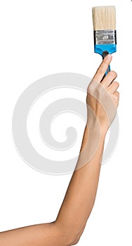 Female hand holding paint-brush