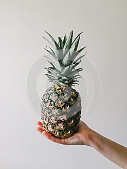 Female hand holding ripe pineapple fruit on white background