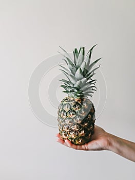 Female hand holding ripe pineapple fruit on white background