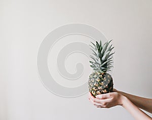 Female hand holding ripe pineapple fruit on white background