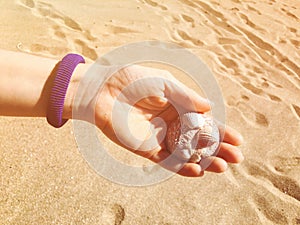 Female hand holding a small shell on the sandy beach. Close up shot