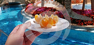 Female hand holding small white plate with peeled mandarin slices