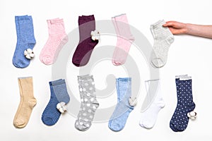Female hand holding socks among women`s cotton socks set with cotton flowers on white background. Fashionable socks store. Socks