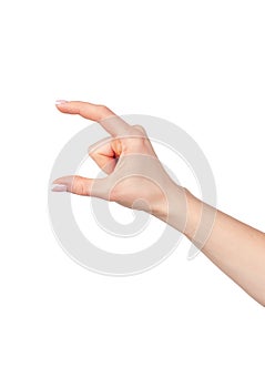 Female hand holding something isolated on white background