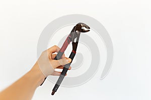 Female hand holding wrench on white background.