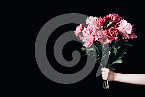 Female hand holds beautiful bouquet of peonies. Flower delivery concept