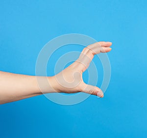 Female hand holds a conditional subject on a blue background