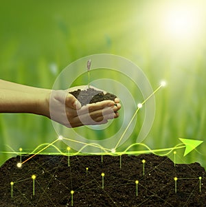 A female hand holds a handful of earth with a young green seedling of a plant against the background of a holographic graph with