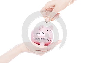 Female hand holds piggy bank wealth management