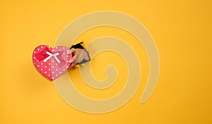 Female hand holds a red box with a gift on a yellow background, part of the body sticks out of a torn hole in a paper background.