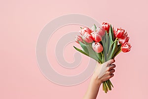 Female hand holds spring bouquet of tulips on a pink background