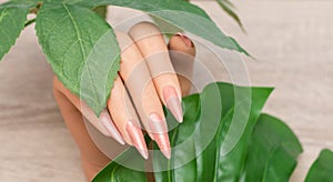 Female hand with long nails with glitter nail polish. Long beige nail design. Woman hand with beige manicure on wooden background