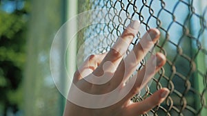 Female hand moving along the surface of grid. Arm of young woman touching metal wire fence. Girl walking during summer