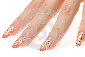 Female hand with nail art - figure a camomile