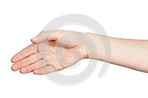 Female hand outstretched for a handshake