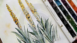 Female hand painting with brush aquarelle watercolor floral art video. fields meadow wild flowers. Close up Ful HD