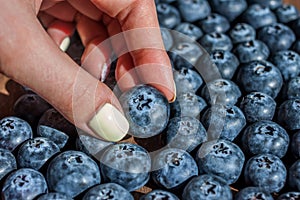 Female hand picking one blueberry