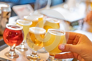 Female Hand Picking Up Glass of Micro Brew Beer From Variety on