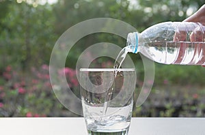 Female hand pouring water from bottle to glass on nature