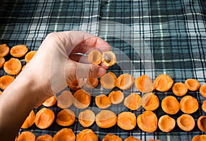 Female hand preparing apricots for sun drying for conservation