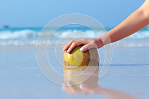 Female hand propped on coconut on sea background