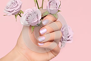 Female hand with purple nail design. Female hand hold purple rose flowers. Glitter purple nail polish manicure on pink background