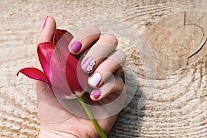 Female hand with purple nail design holding beautiful pink tulip