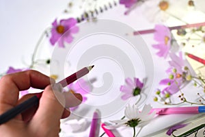 A female hand with a purple pencile drawing flowers on a white paper