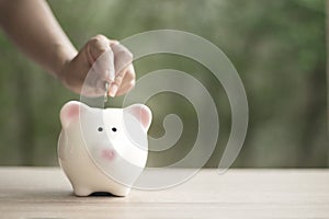 Female hand putting coin into piggy bank on blured background empty space