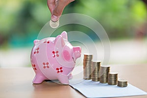 Female hand putting a coin into piggy bank , for invest money, I