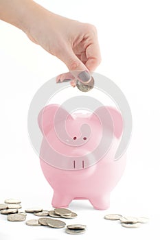 Female hand putting coin into piggy bank isolated on white