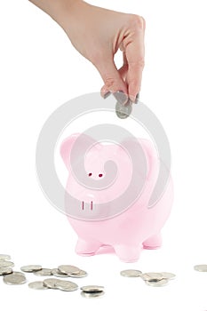 Female hand putting coin into piggy bank isolated on white