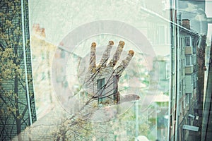 A female hand reaches out from the window, tree branches shine through the palm.