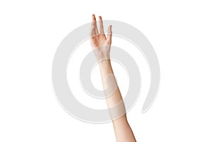 Female hand reaching out on isolated background