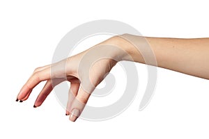 Female hand reaching for something on white