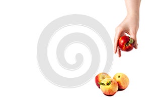 Female hand with ripe nectarine with green leaves and three nectarines lying isolated on a white background