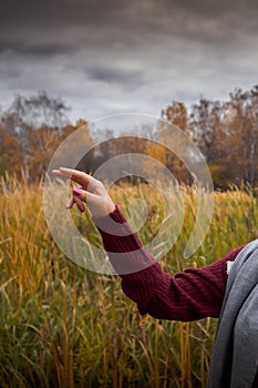 Female hand with scruffy manicure against the backdrop of an autumn forest and a gloomy sky. Stupid gesticulation