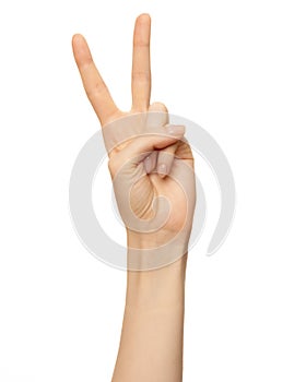 Female hand show number two, 2 finger isolated on white. Women hand show sign victory or v symbol