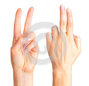 Female hand showing two fingers in the peace symbol