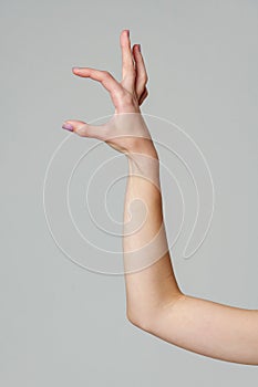 Female hand sign against gray background in studio close up