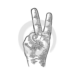 Female hand sign victory sign , or peace sign or scissors. Vector black vintage engraved illustration isolated on a white