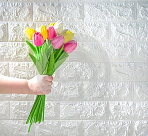 Female hand with spring tulip flowers