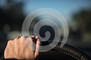 Female Hand on Steering wheel
