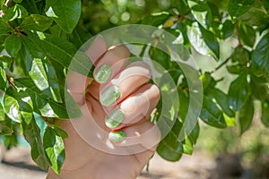 Female hand with summer nail design. Glitter green nail polish manicure. Hand with green manicure hold green leaves