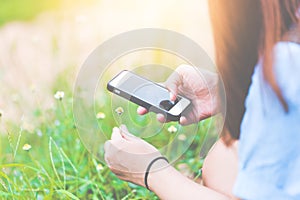 Female hand takes pictures of yellow flowers with mobile smart phone. On the background of yellow flowers and green grass