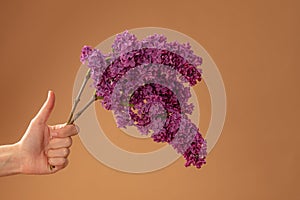 Female hand with thumb up holds purple lilac brach isolated on beige