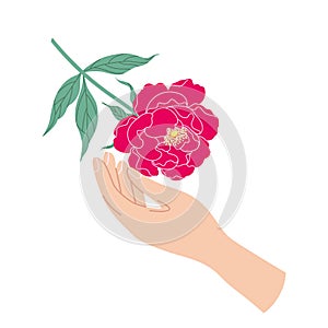 Female Hand Touches Red Peony Flower