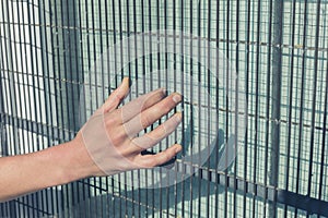 Female hand touching wired fence