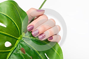 Female hand with tropic nail design. Glitter beige nail polish manicure. Female model hand with perfect manicure